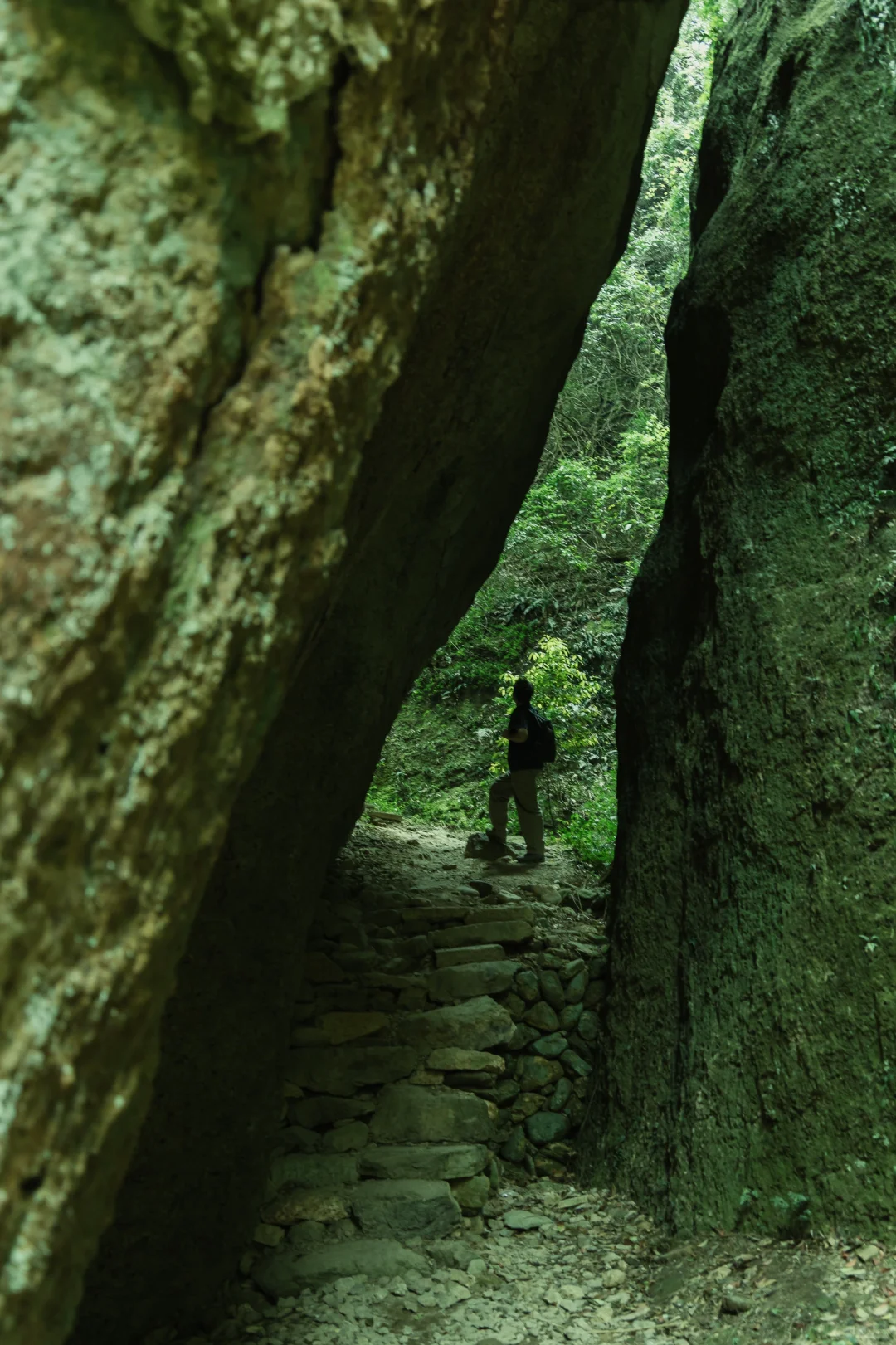 真没瞎吹❗去完台州后对日本完全祛魅了❗