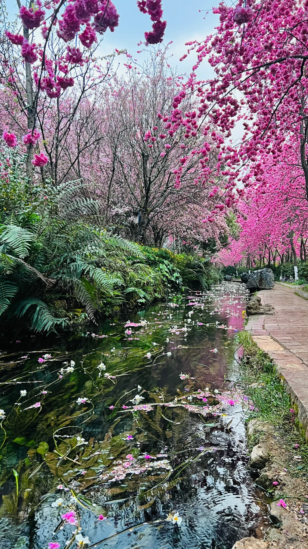 不敢想象，怎么会有这么美的地方🤩❗️❗️