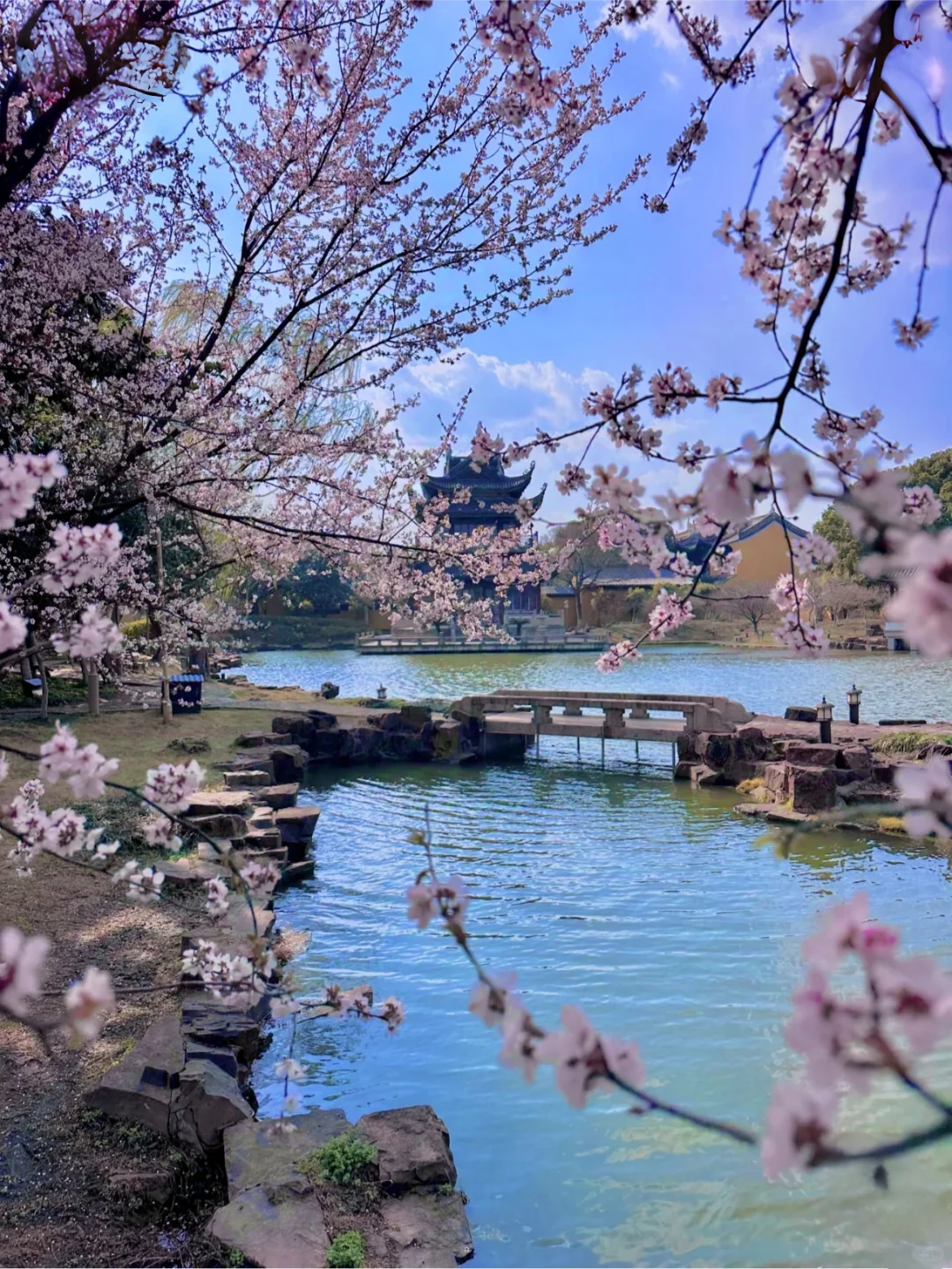 江南春日，苏州限定浪漫之旅