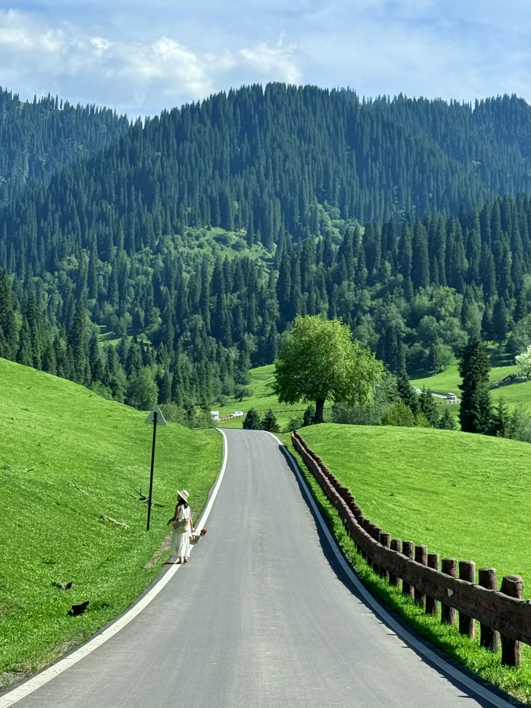 在新疆拍到了我的人生live图～🌳🌳