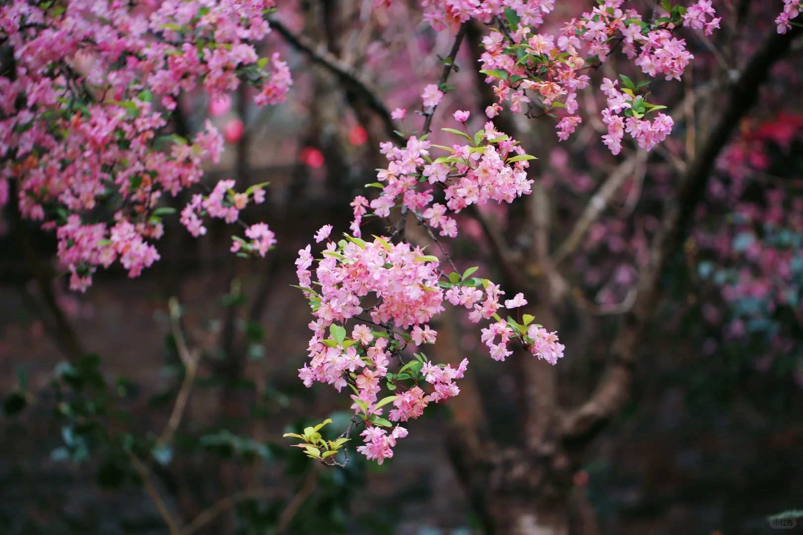 不敢想象，怎么会有这么美的地方🤩❗️❗️