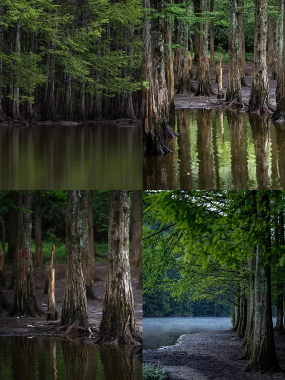 🌟五一反向出行攻略｜人少避暑的6个宝藏地🌟