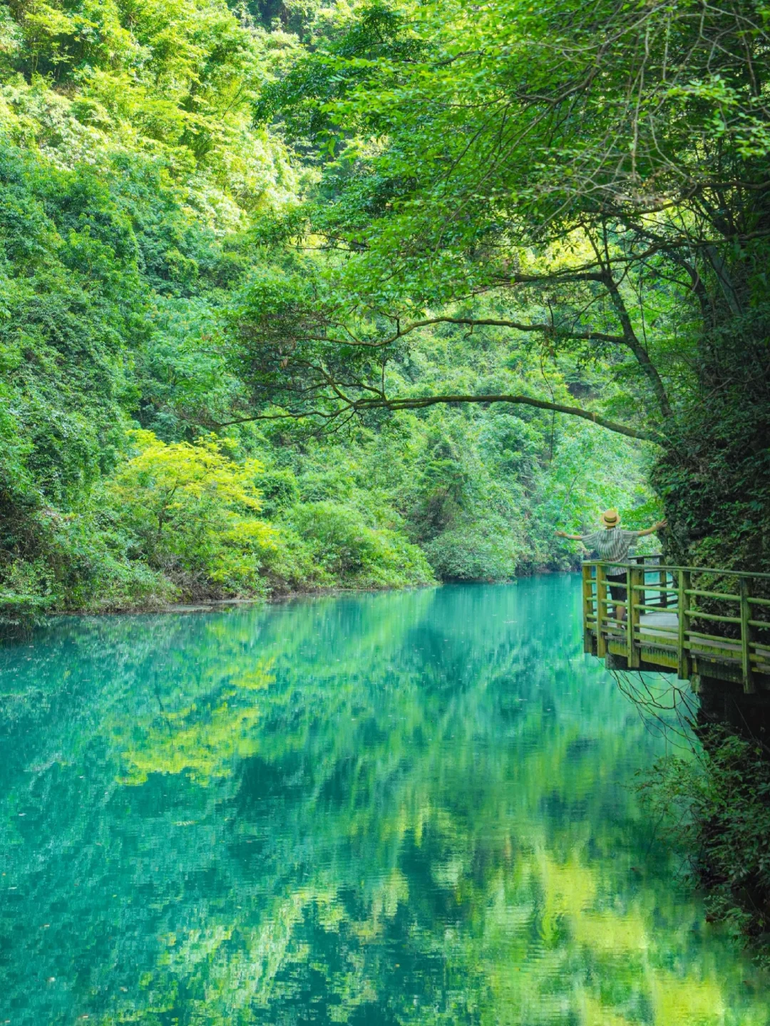 Live图！没去天门山是张家界最正确的选择！