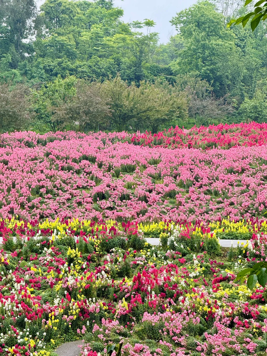 五一假期山城好去处🌷请留1️⃣天给这里‼️