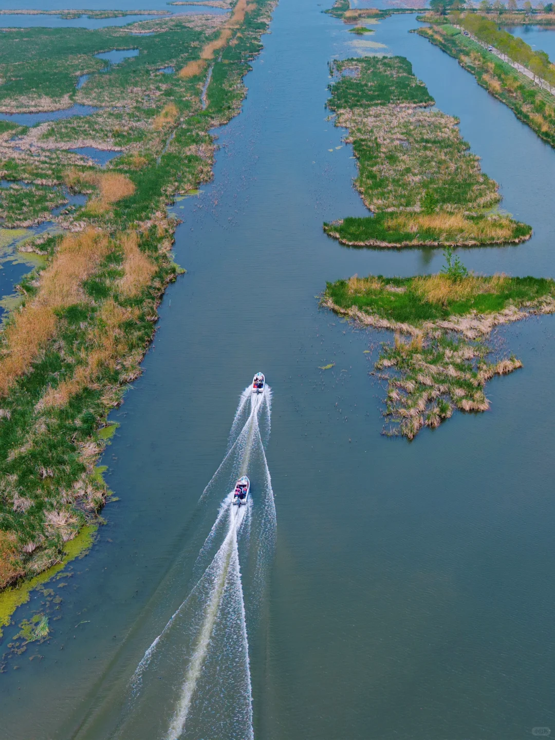 反向旅游‼️这才是淮安被严重低估的绿野仙踪