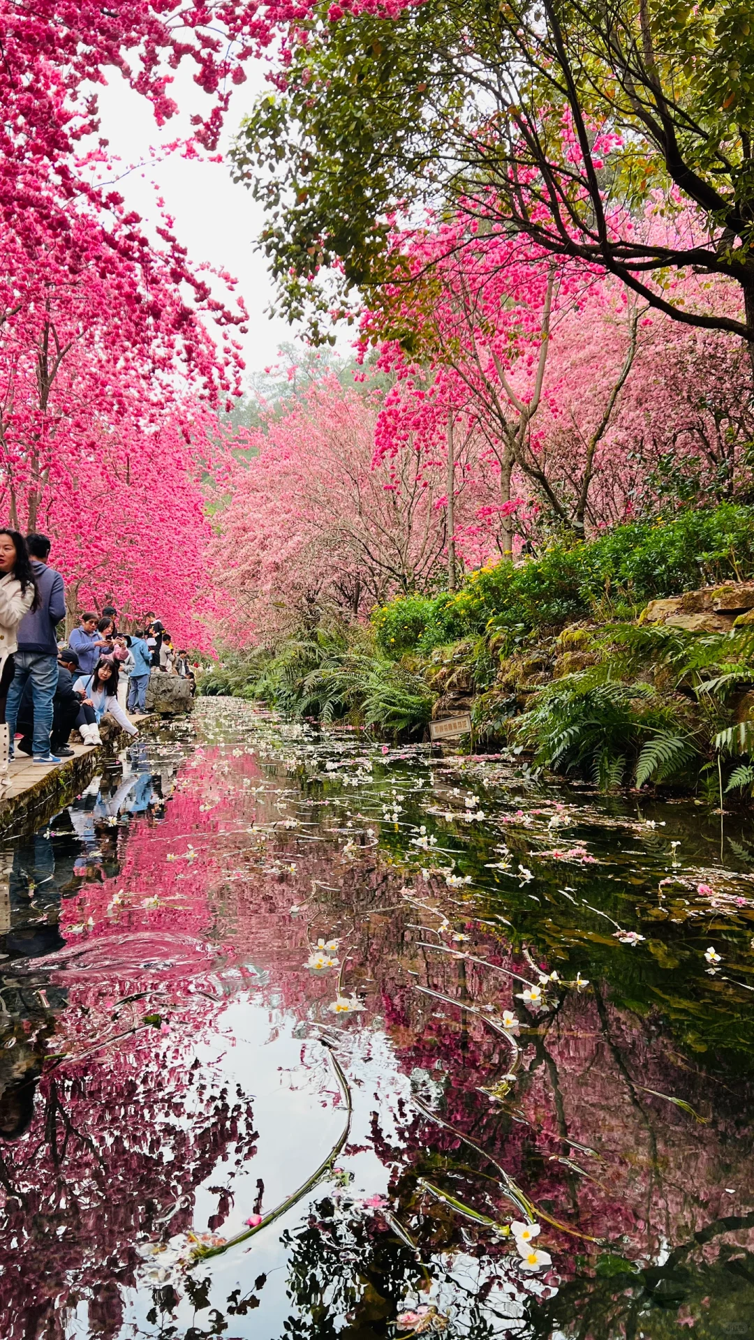 不敢想象，怎么会有这么美的地方🤩❗️❗️