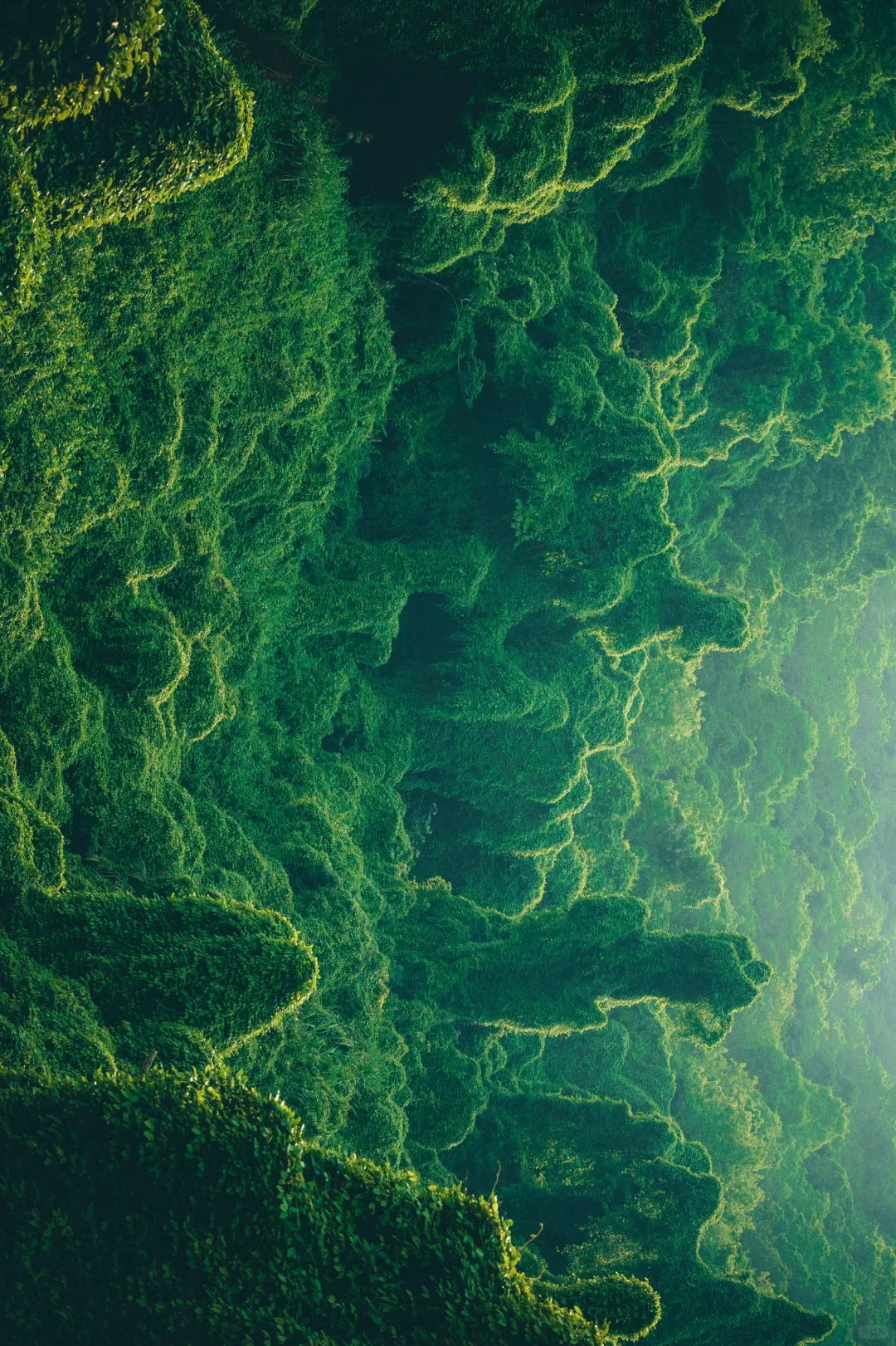 我好像在宁波找到了现实版的“失落之地”🦕