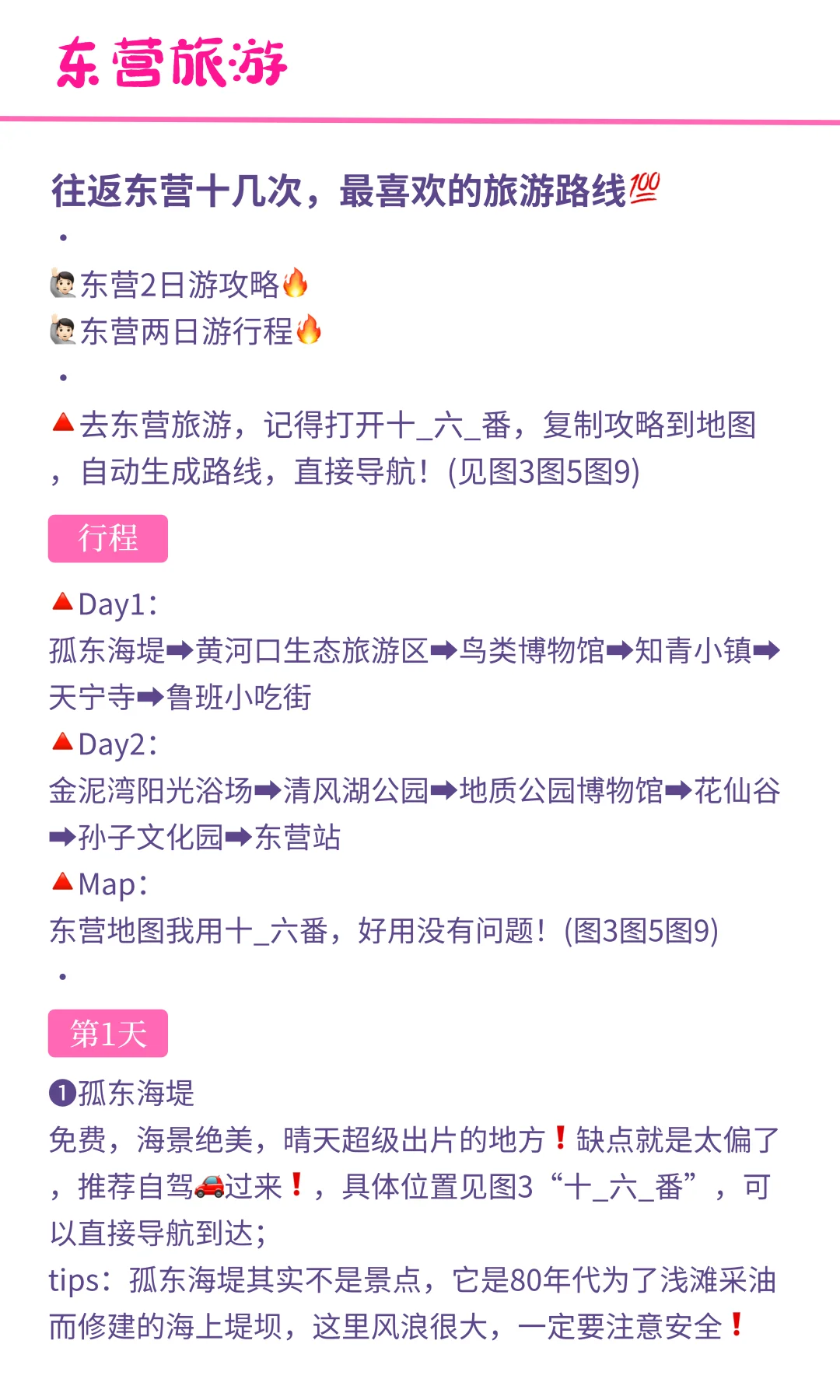 往返东营十几次，最喜欢的旅游路线💯•