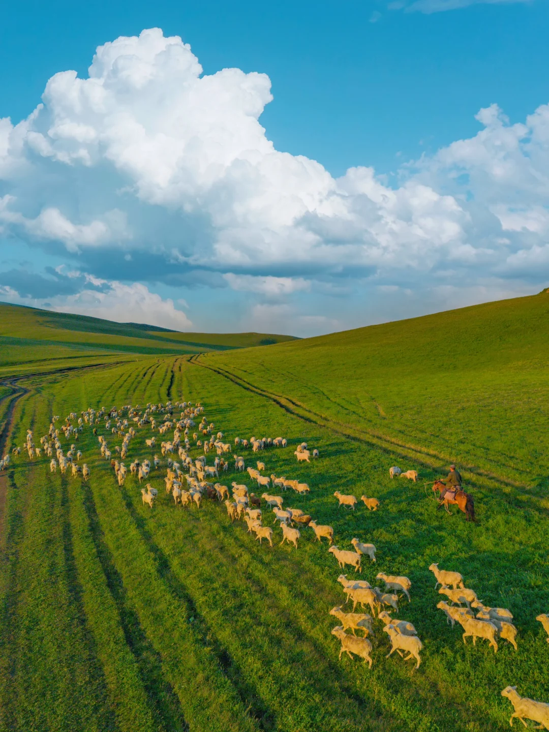 春天的新疆伊犁，每一帧都是童话世界❗️❗️❗️