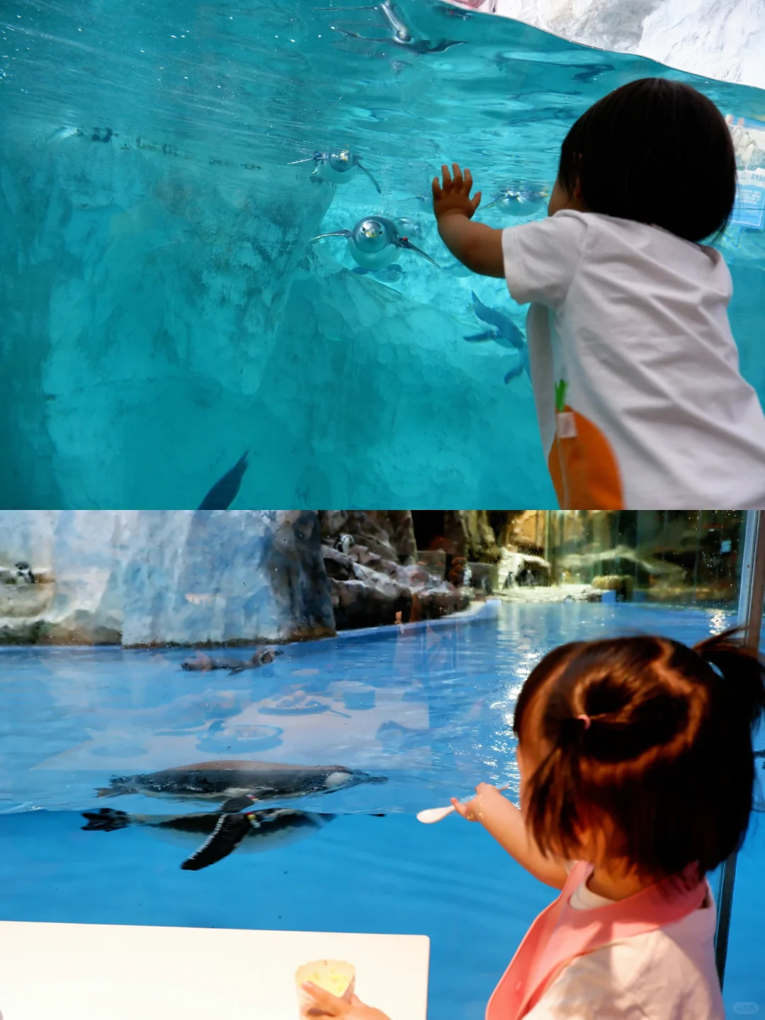 带娃走遍全国后，6 岁孩子眼里最喜欢的城市