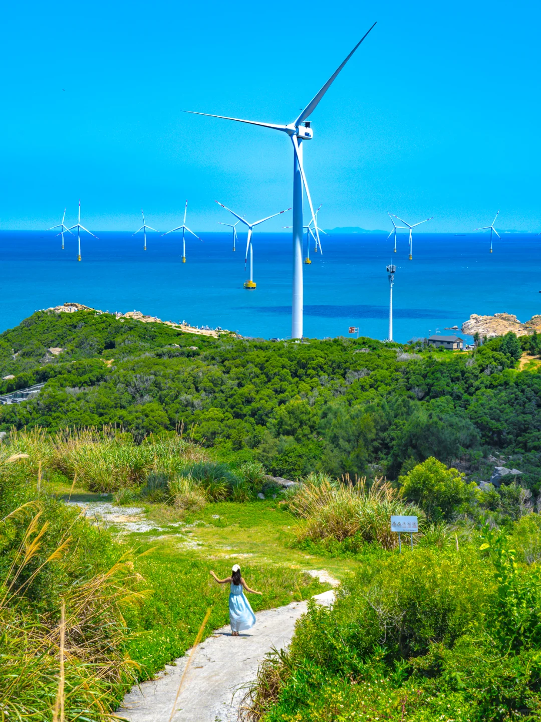 我宣布！我在国内找到了梦中情岛
