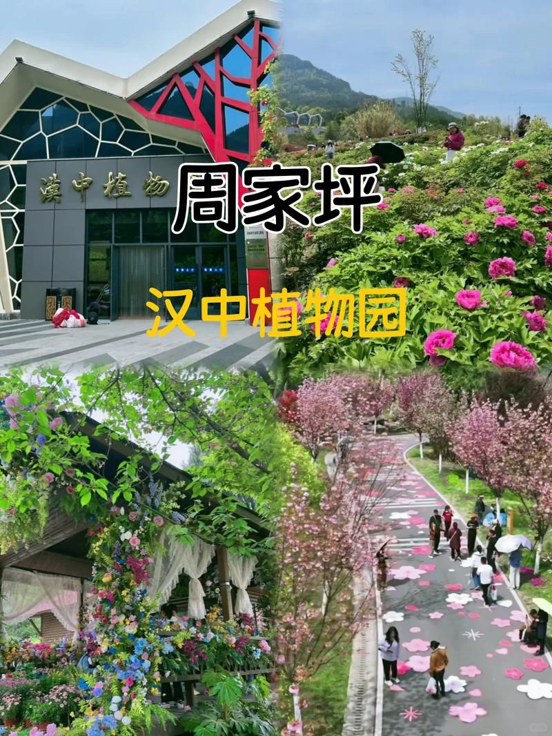 半年一次的汉中周边旅行✈️