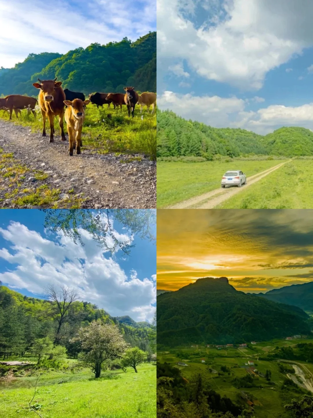 🌟五一反向出行攻略｜人少避暑的6个宝藏地🌟