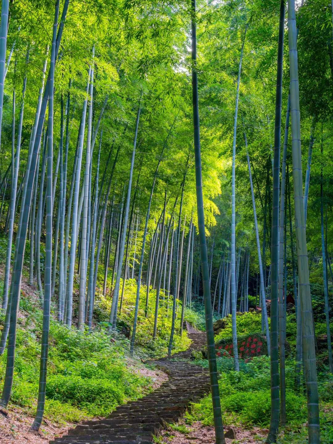 五一反向游，推荐一个人少又治愈的宝藏小城