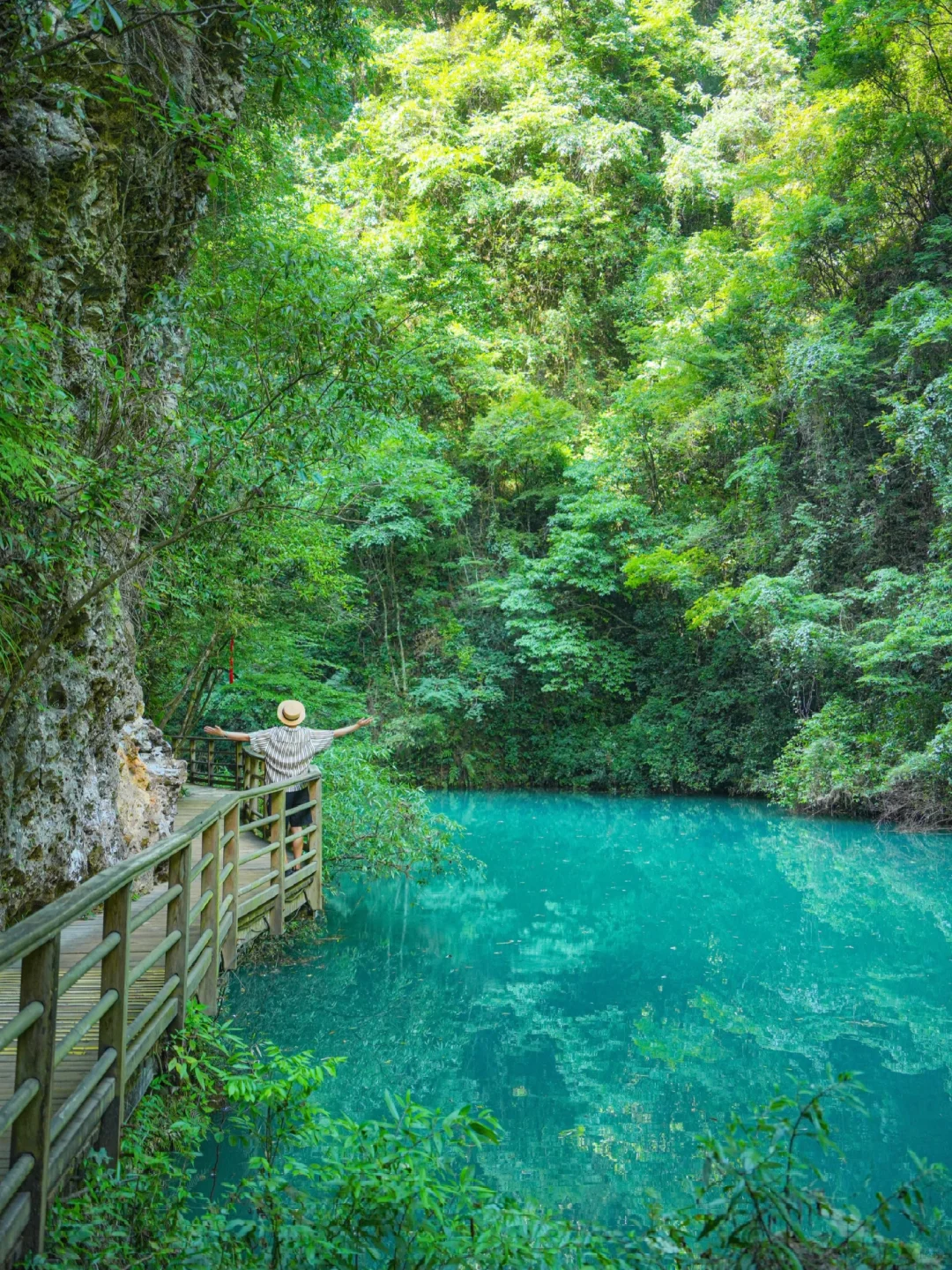 Live图！没去天门山是张家界最正确的选择！