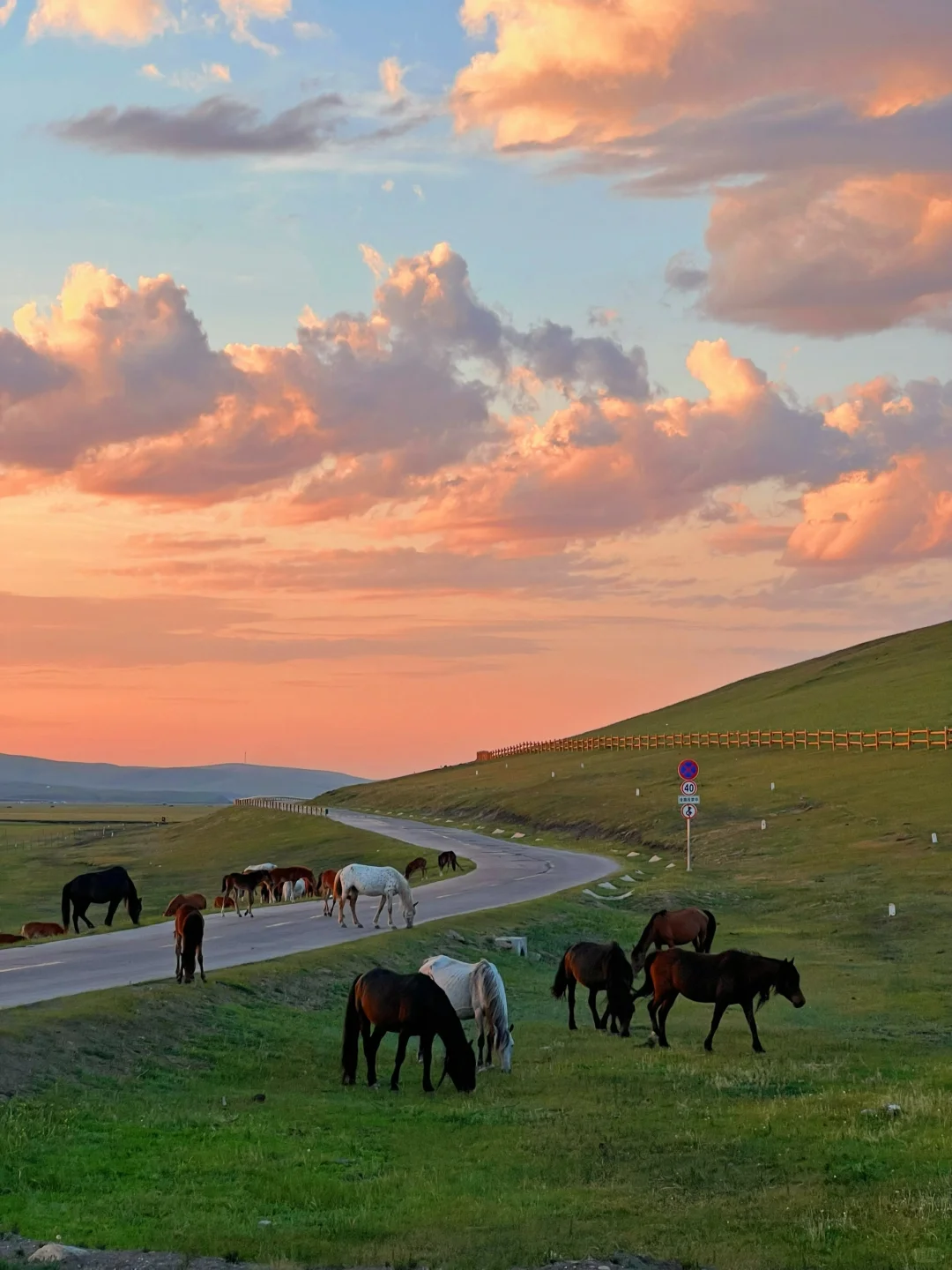 开始攒钱！！夏天再去一次呼伦贝尔！！