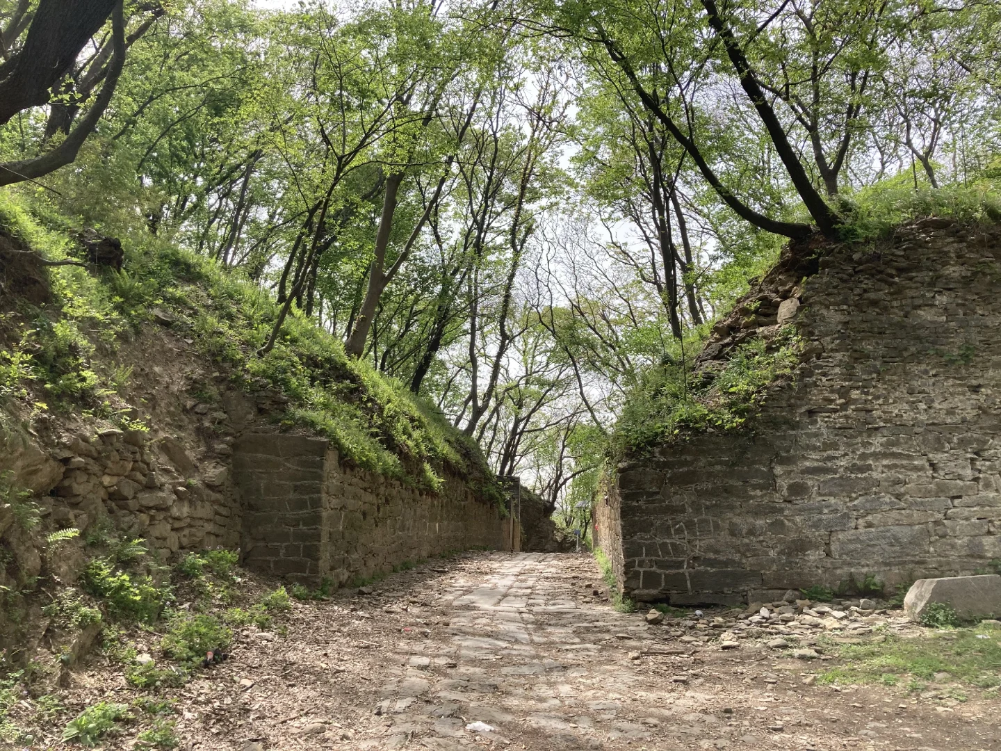 安徽滁州|清流关