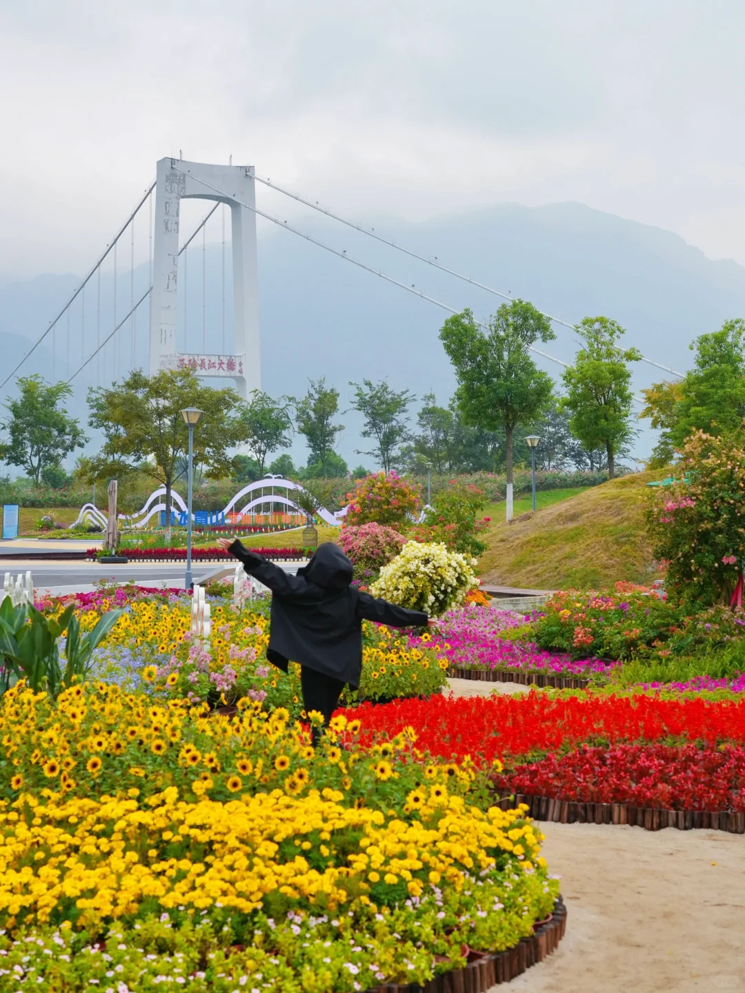 宜昌已回！坚决不删，能劝一个是一个.......