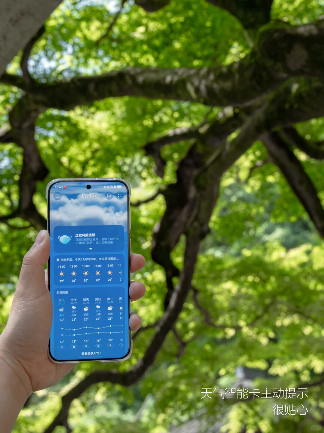 五一反向旅游，西湖这些小众秘境人少景美