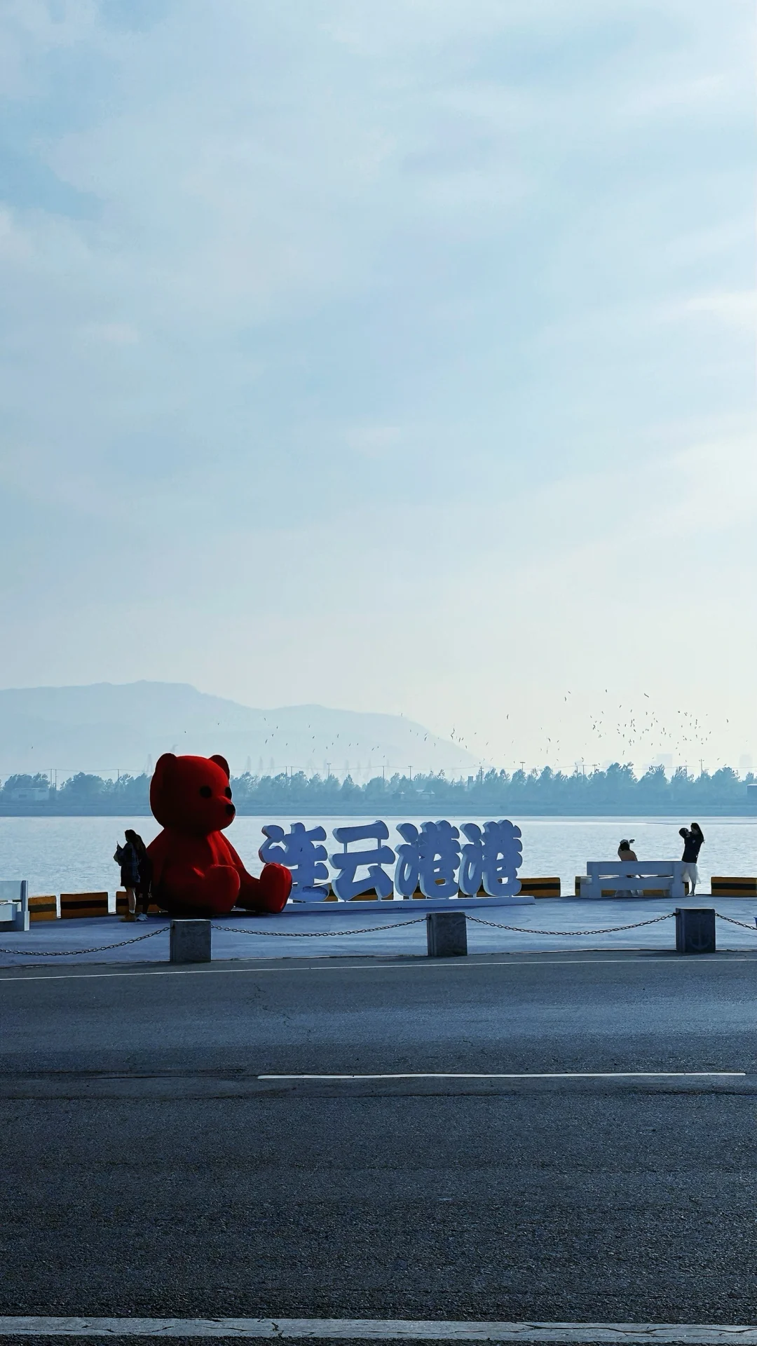 红泰迪和大海好配哦～🌅