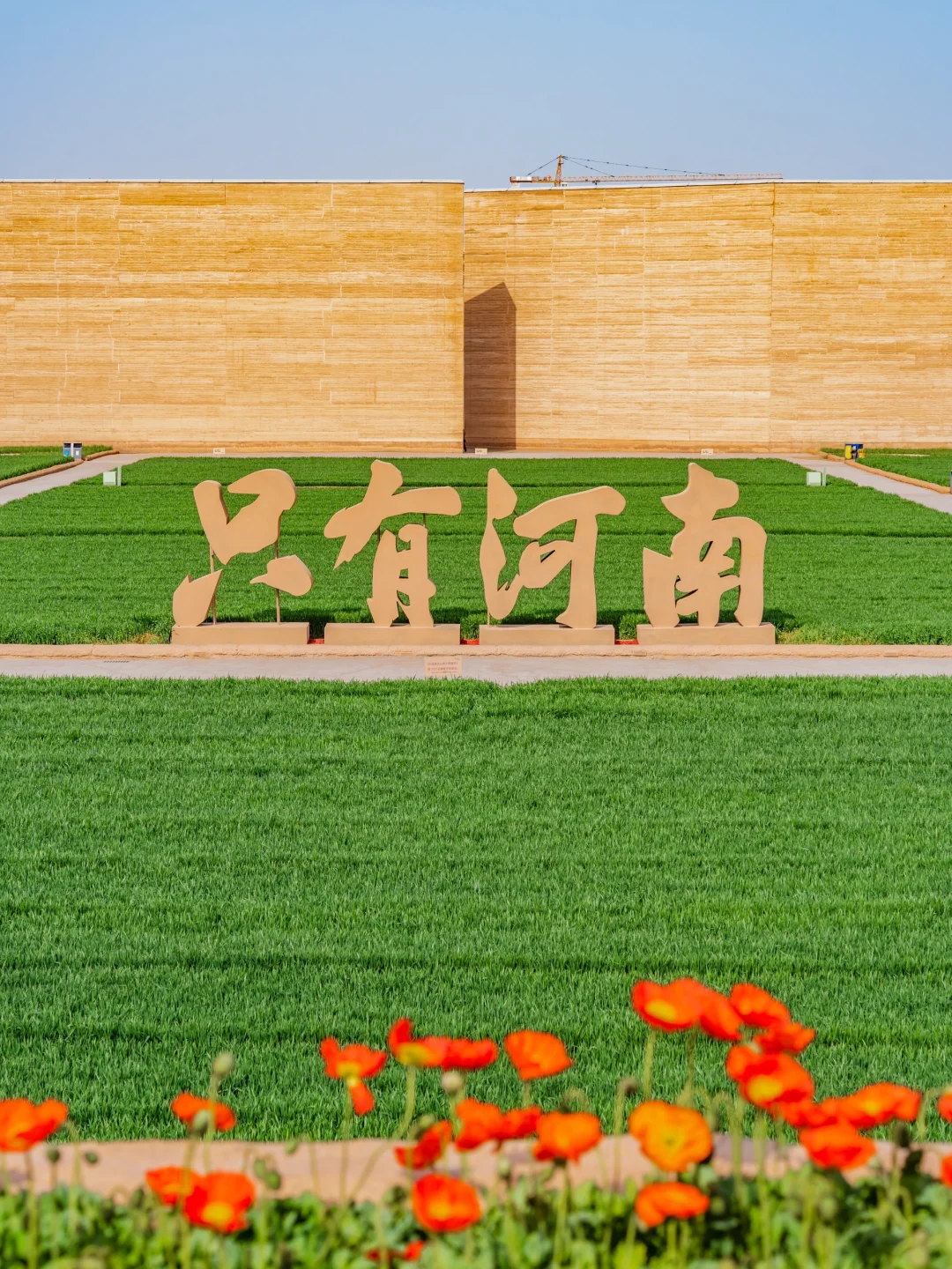 刚从只有河南回来，来听听我的真实感受…