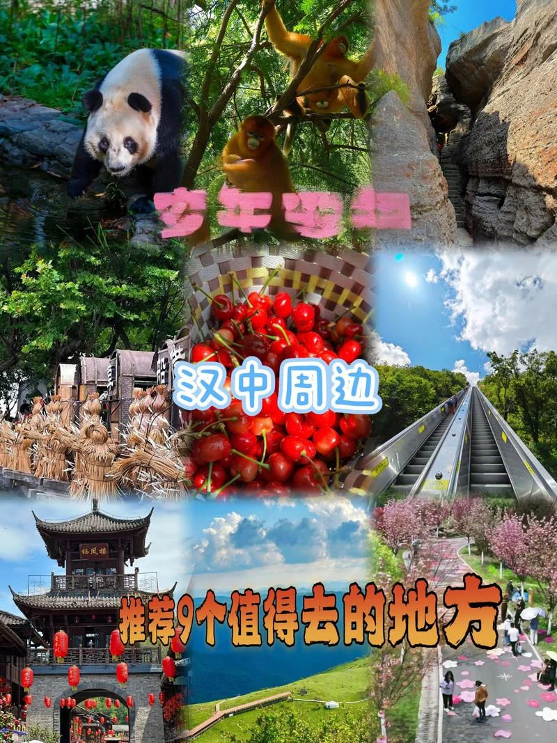 半年一次的汉中周边旅行✈️