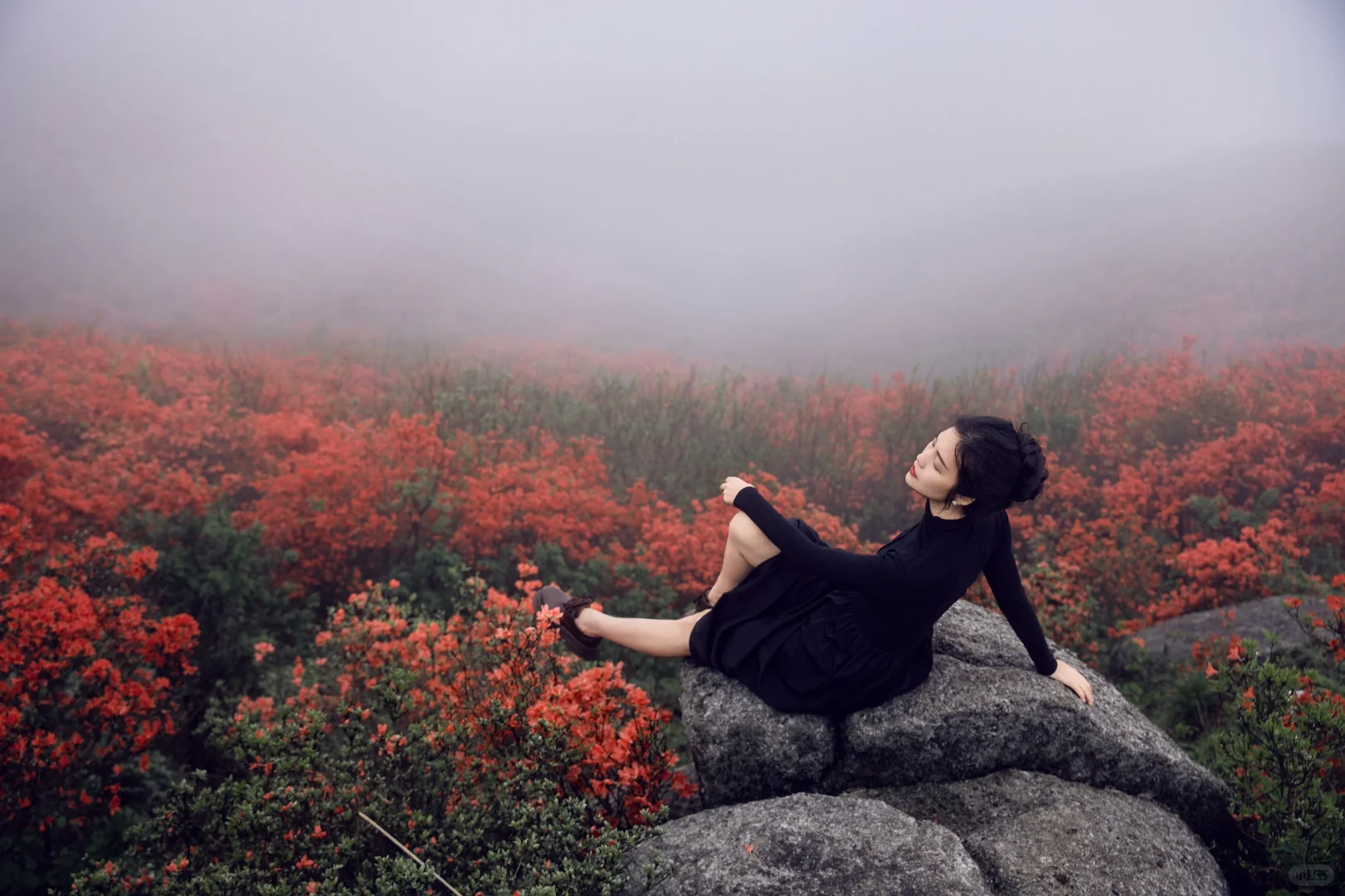 五一反向旅游,松弛感拉满的映山红秘境