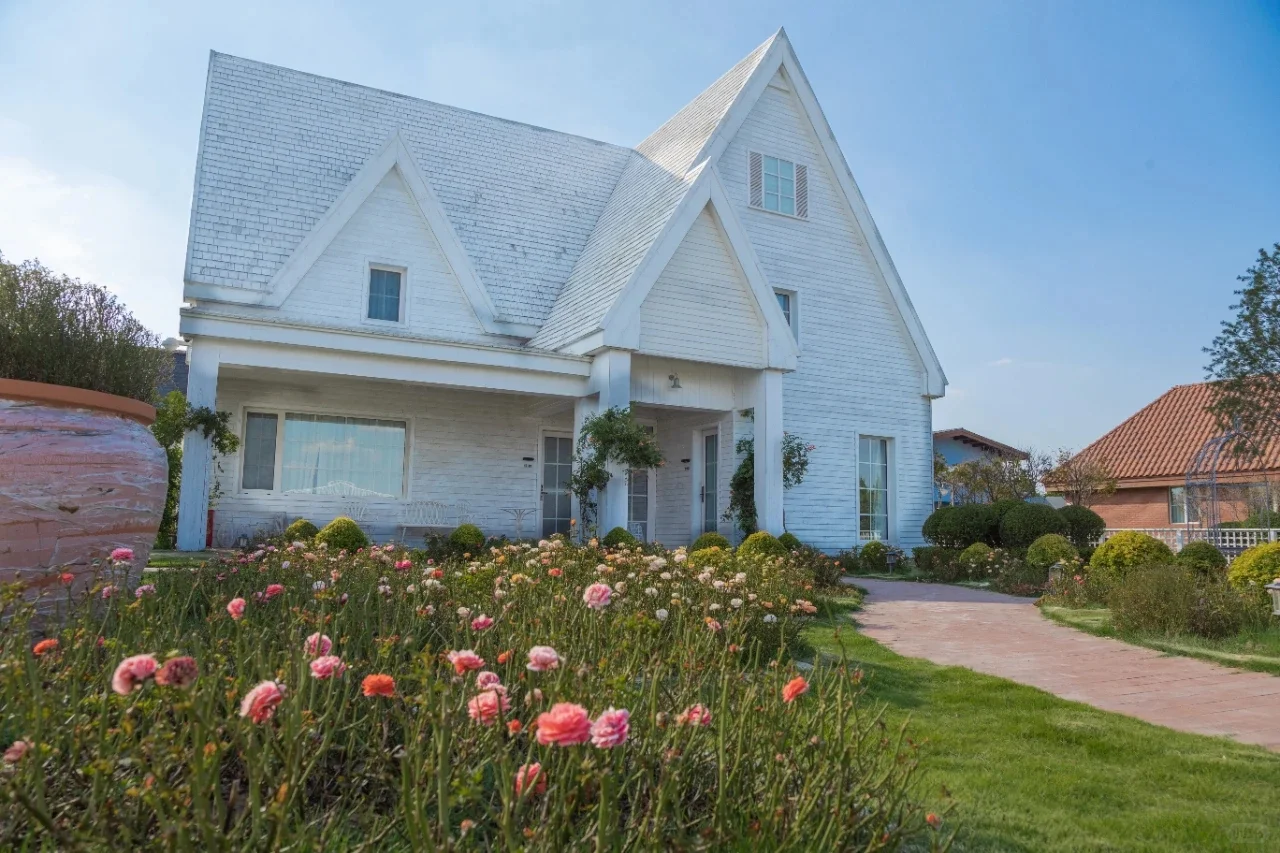 这里不是荷兰！是临沂！！！！