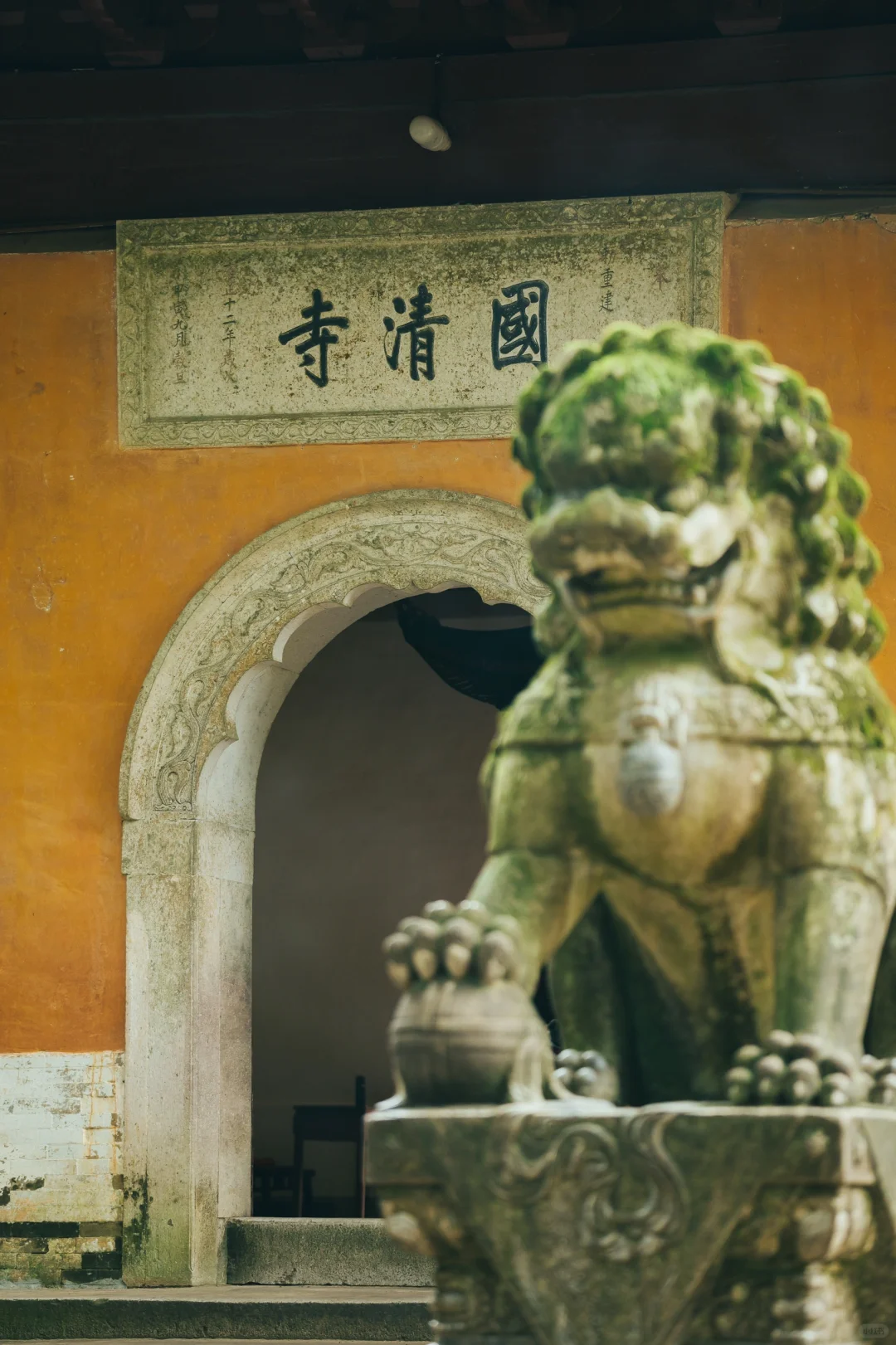 真没瞎吹❗去完台州后对日本完全祛魅了❗