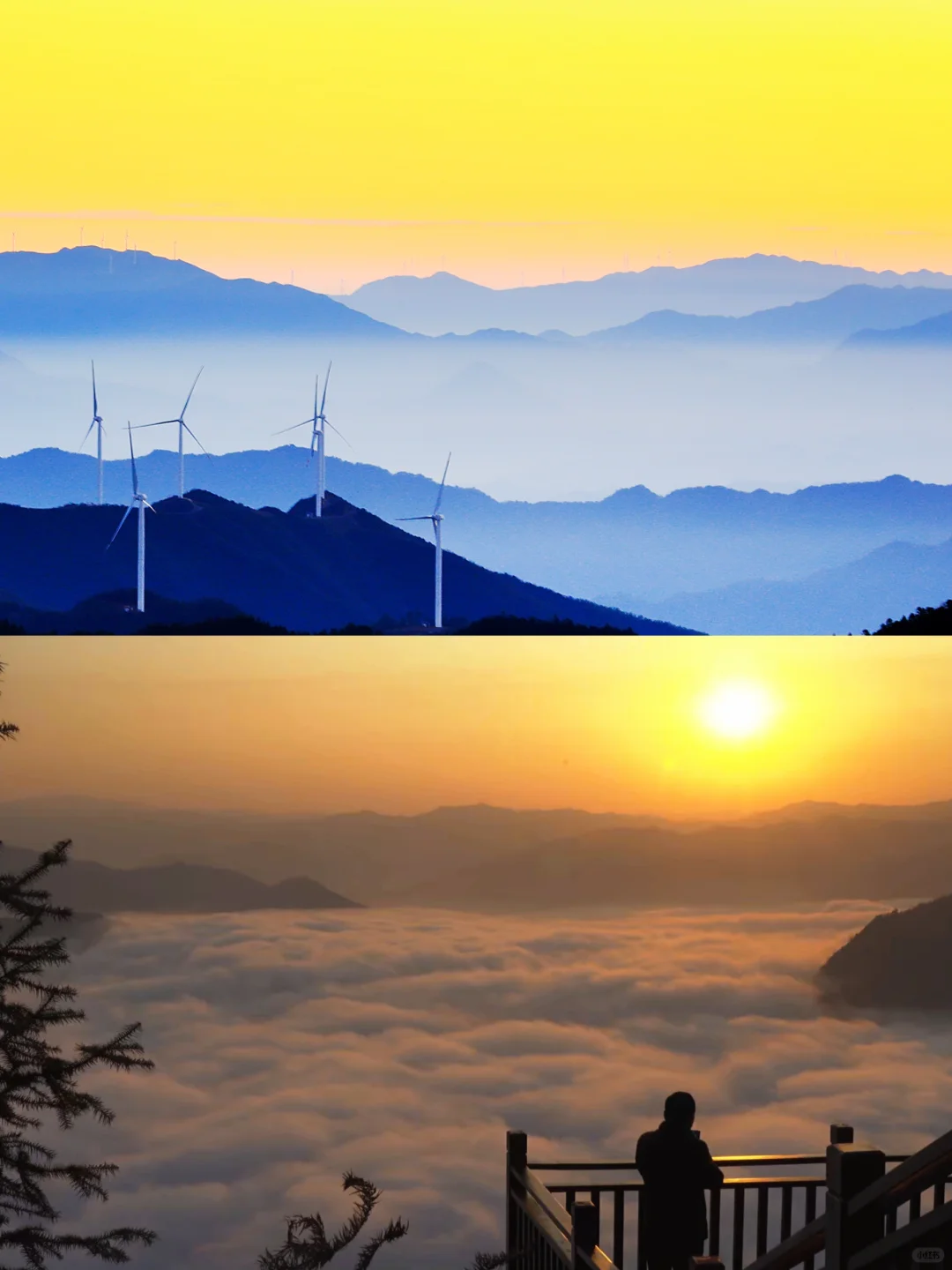 五一反向游！闯入10万亩杜鹃花海秘境