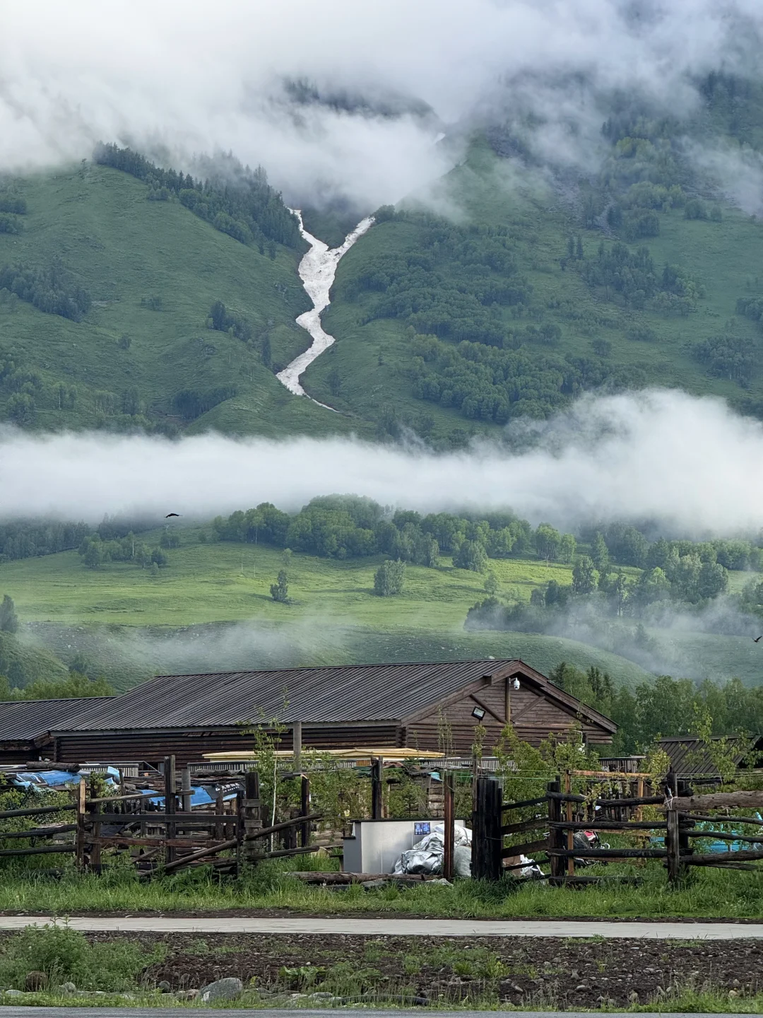 五月底的阿勒泰live