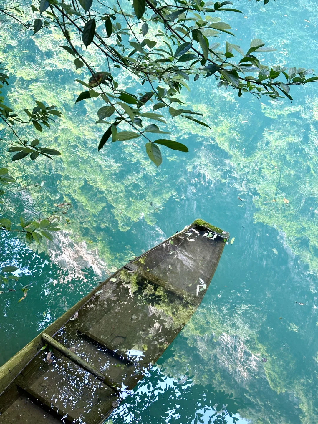 Live图！没去天门山是张家界最正确的选择！