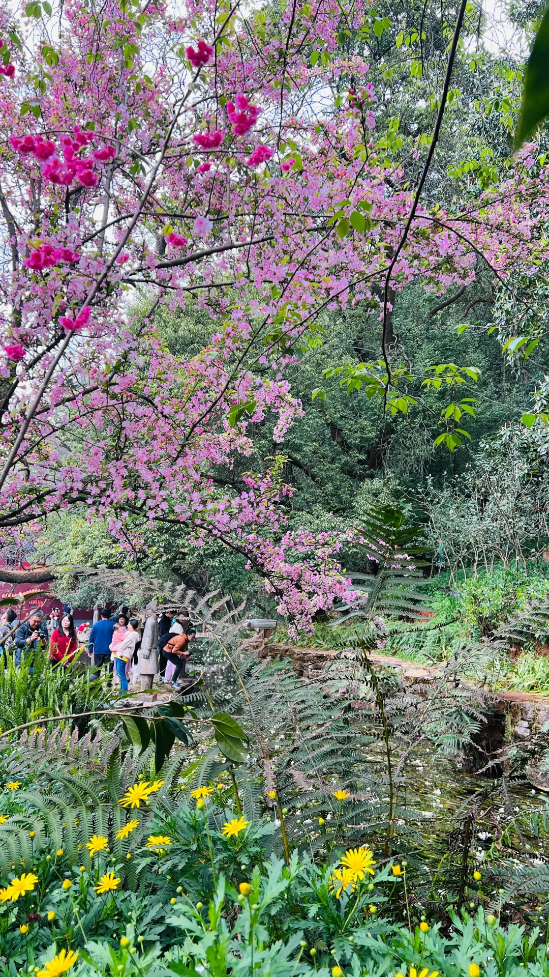 不敢想象，怎么会有这么美的地方🤩❗️❗️