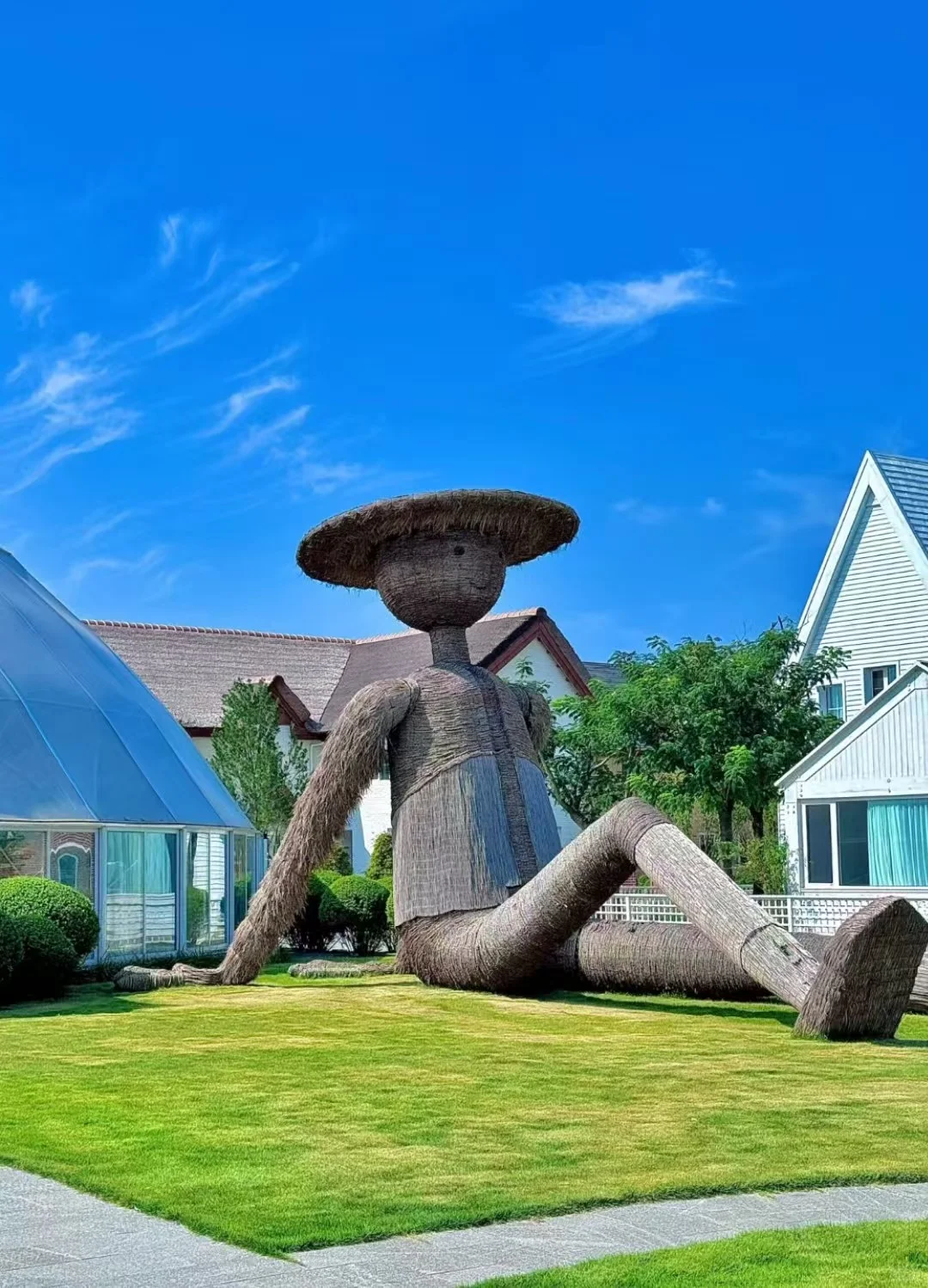 这里不是荷兰！是临沂！！！！