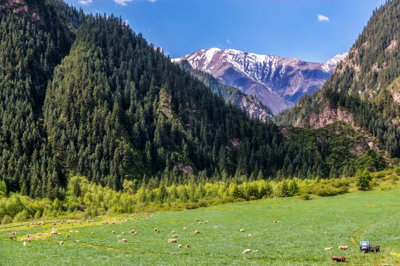 🔥张掖旅游 | 带你畅玩这几个宝藏景区