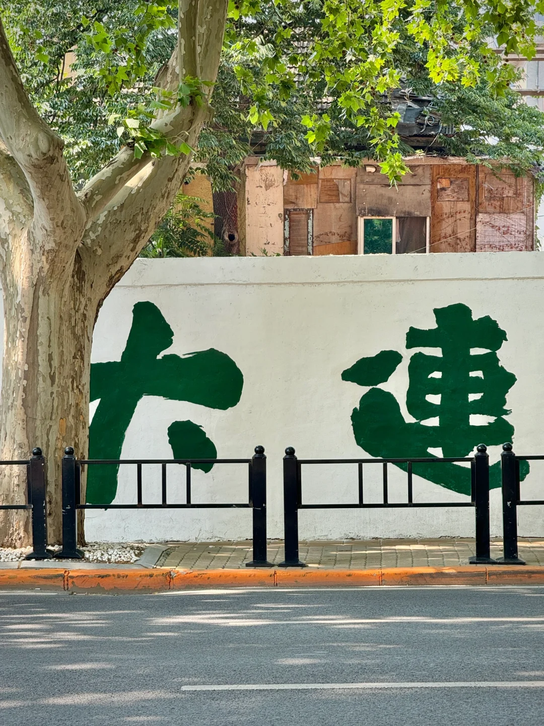 以为烟台已经很美了，直到我去了大连……