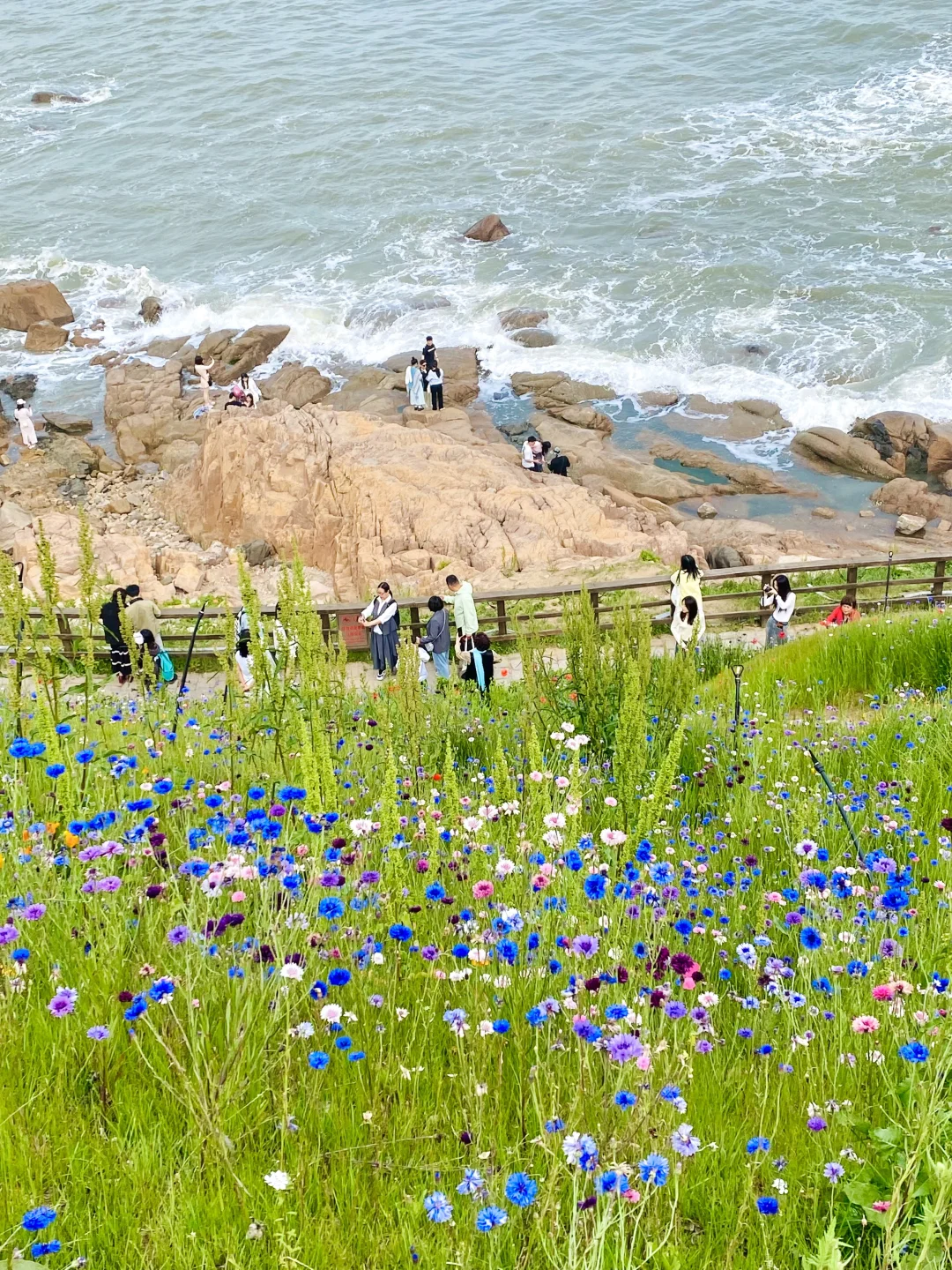 📍已经开始期待青岛的春天！