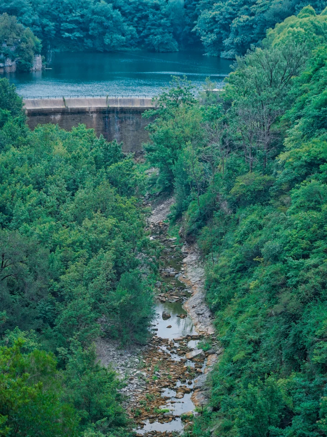 藏于山东深山的世外桃源🍃大自然空调真香