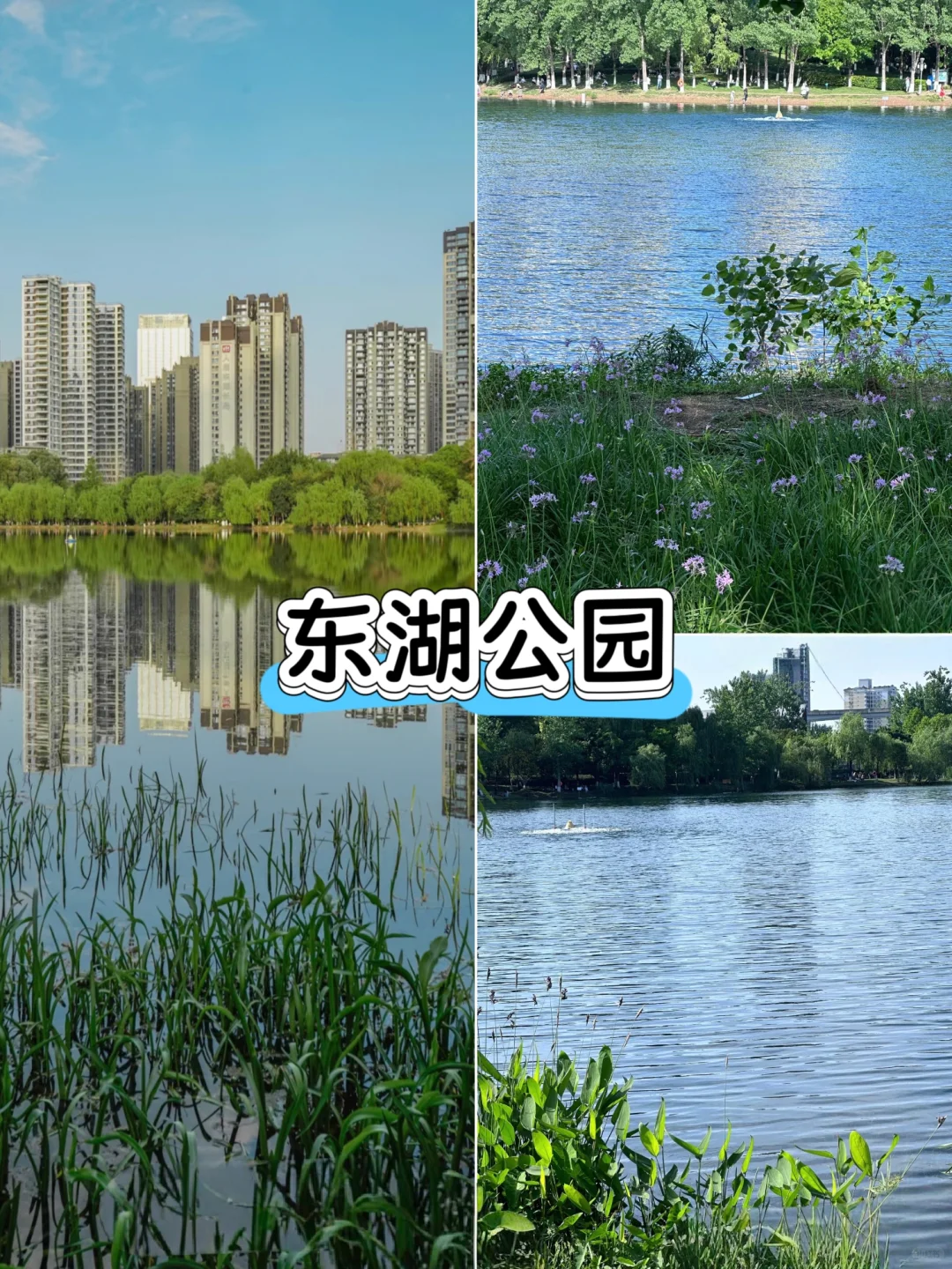 五一别去人挤人❗来成都这5家公园反向游❗