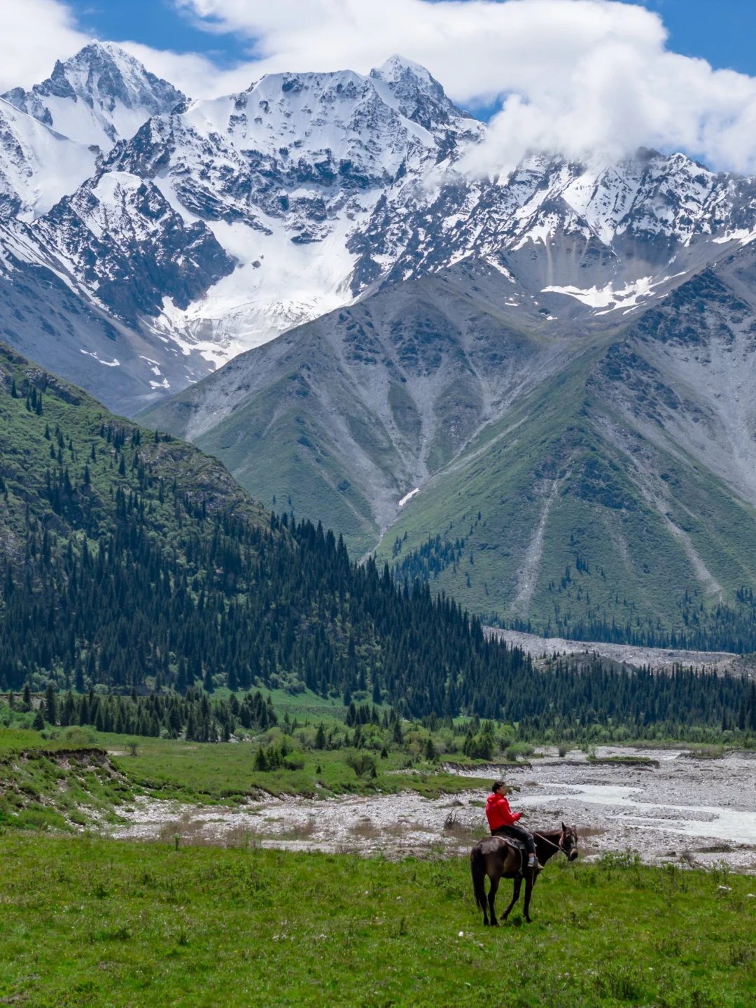春天的新疆伊犁，每一帧都是童话世界❗️❗️❗️