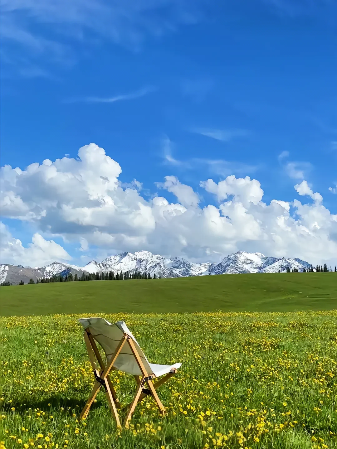 四月新疆 | 赴一场春日限定的梦幻之约🌸