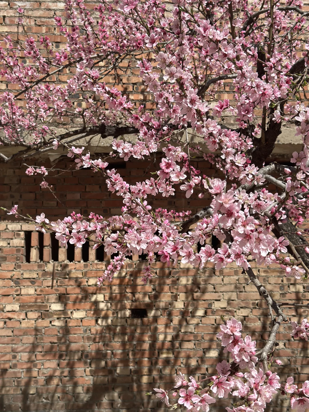 🌸属于邢台人的小九寨沟｜云梦山⛰