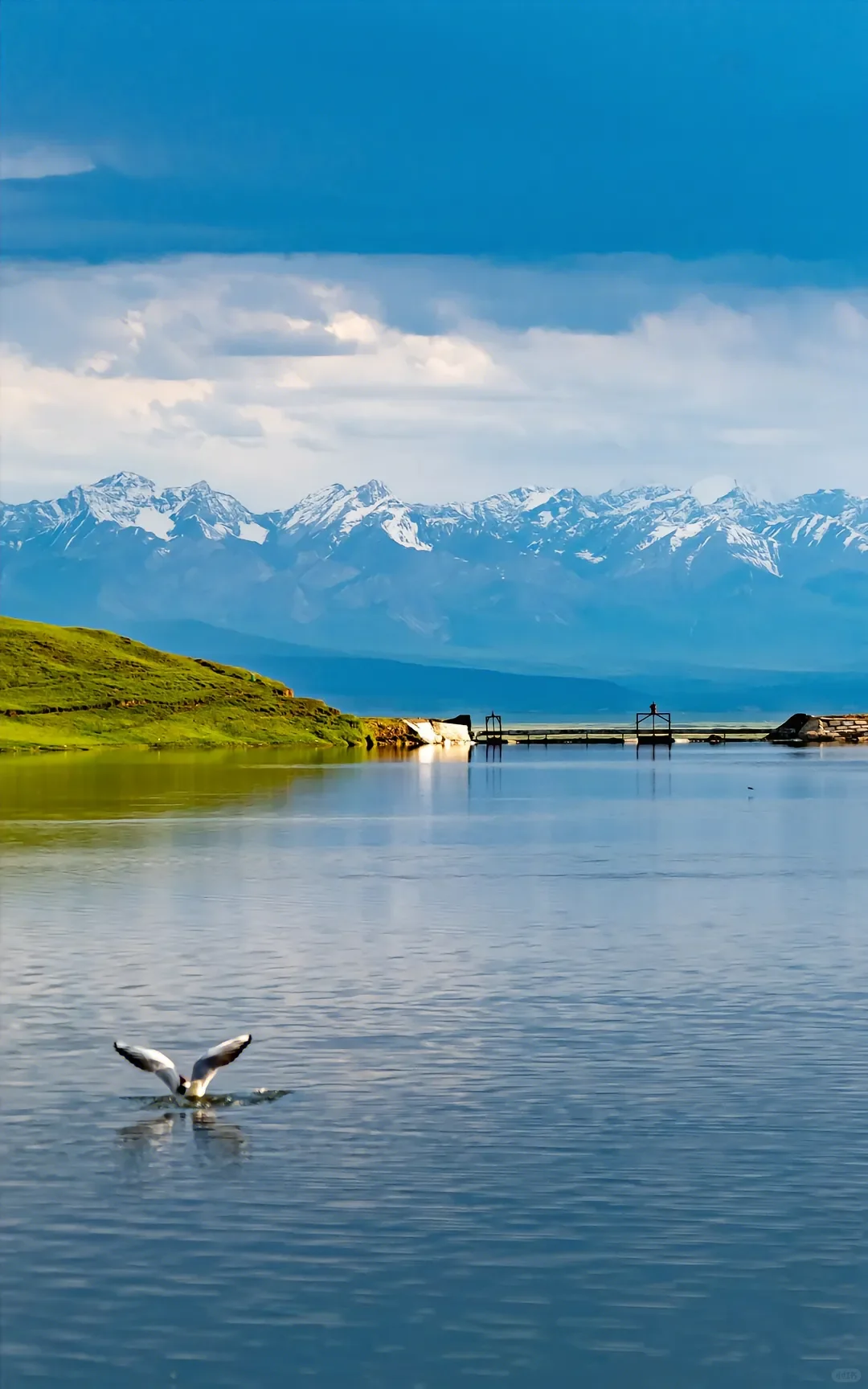 四月新疆 | 赴一场春日限定的梦幻之约🌸