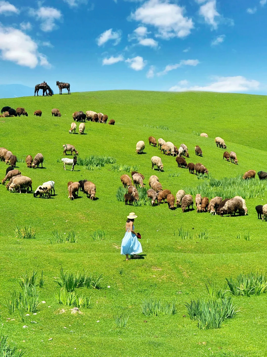 推荐❾个适合五一的小众旅行地～