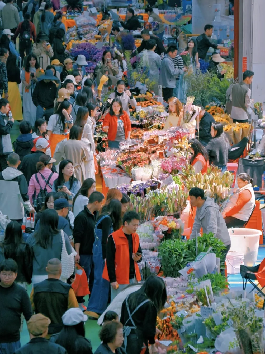 04女大📍独闯昆明 | 三天不走回头路攻略