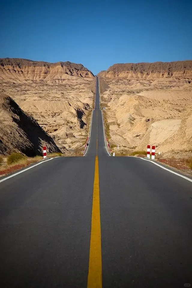 四月新疆 | 赴一场春日限定的梦幻之约🌸