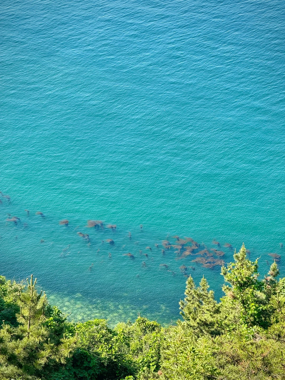 以为烟台已经很美了，直到我去了大连……