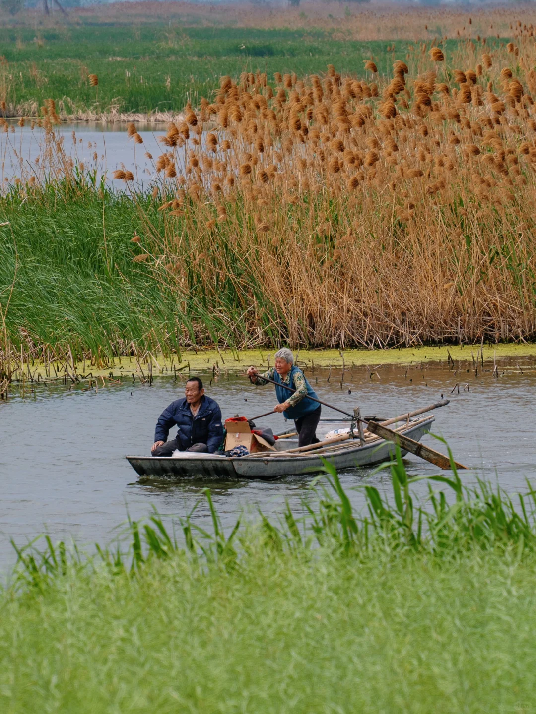 反向旅游‼️这才是淮安被严重低估的绿野仙踪