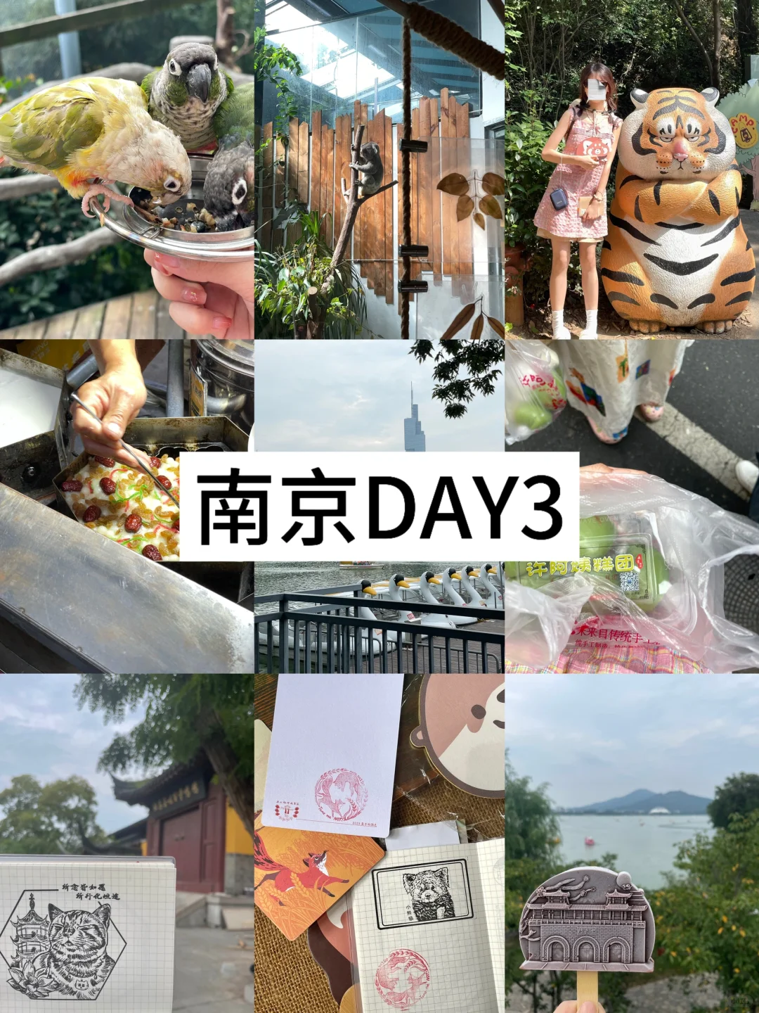 南京x苏州x杭州5天忘记花多少攻略📝.pdf