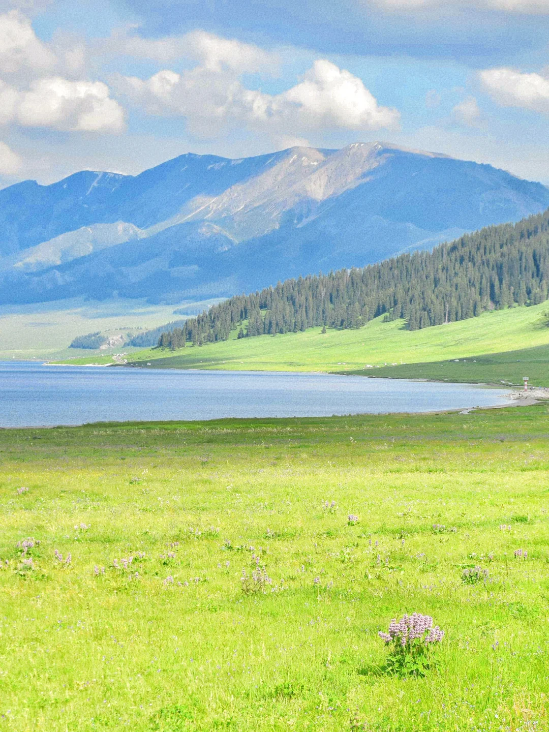 接下来几个月的新疆，每一张都是童话世界！！！